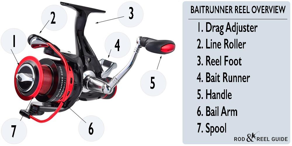 Different Types Of Fishing Reels Reviews and Guides Rod And Reel Guide
