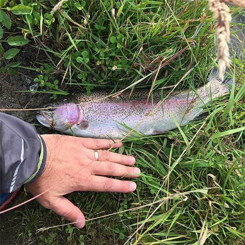 The Best Hook Size for Trout (Catch More: Size Matters) - Guide Recommended