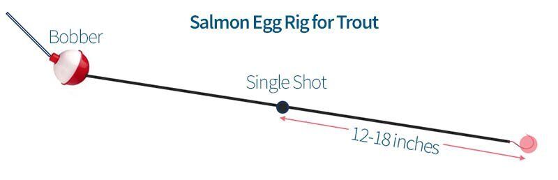 Litton's Fishing Lines: Fishing Salmon Eggs For Rainbow Trout