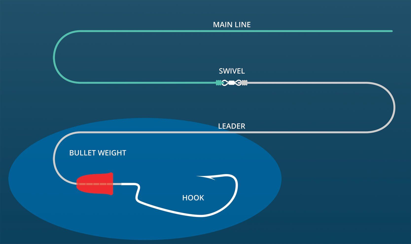 Texas Rig Fishing Diagram